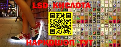 ПСИЛОЦИБИНОВЫЕ ГРИБЫ Гай